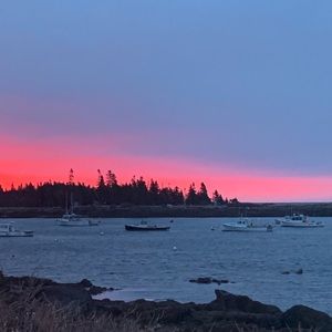 Meet your Posher, Jerry